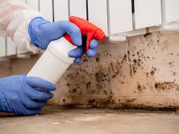 Best Crawl Space Mold Remediation in Manvel, TX